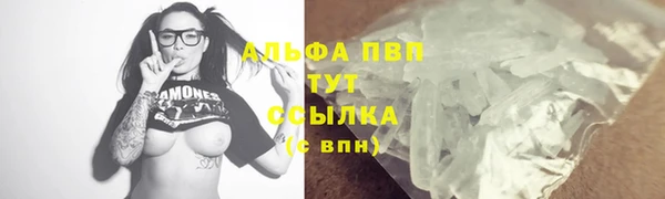 PSILOCYBIN Няндома