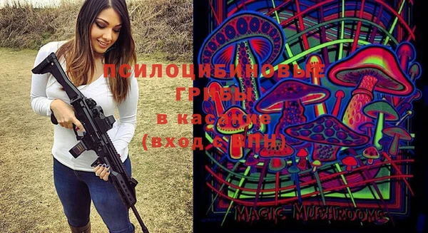 первитин Нягань