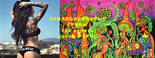 PSILOCYBIN Няндома