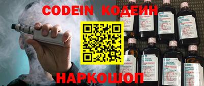 МДПВ Кингисепп