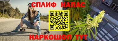 МДПВ Кингисепп