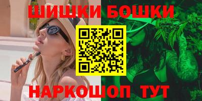 МДПВ Кингисепп