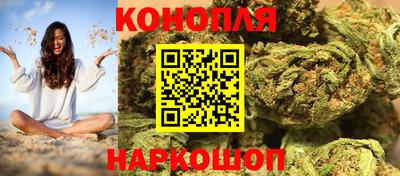 МДПВ Кингисепп