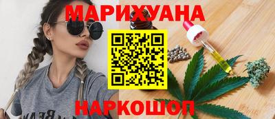 МДПВ Кингисепп
