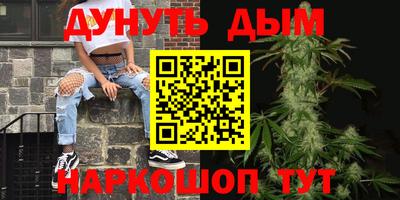МДПВ Кингисепп