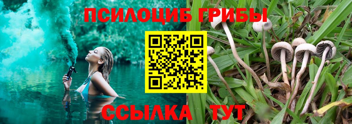Псилоцибиновые грибы GOLDEN TEACHER  Вход с VPN  Комсомольск-на-Амуре 